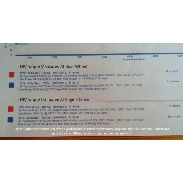 Technical data sheet with engine performance measurements on a white background
