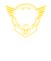 V-Twin Authority